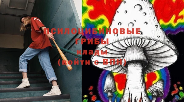 гашик Новозыбков