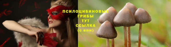 мескалин Усинск