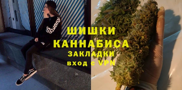 гашик Новозыбков