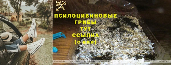 гашик Новозыбков