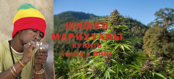 прущие крисы Новодвинск