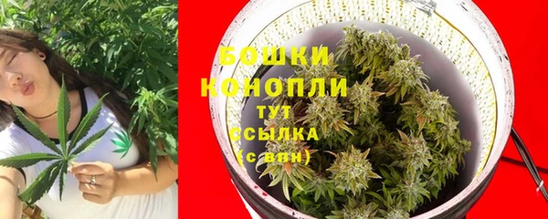 прущие крисы Новодвинск