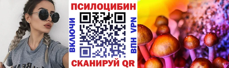 Галлюциногенные грибы Cubensis Рыльск